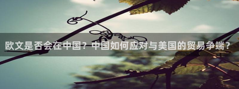 万事娱乐-ng大舞台,有梦你就来：欧文是否会在中国？中国如何应对与美国的贸易争端？