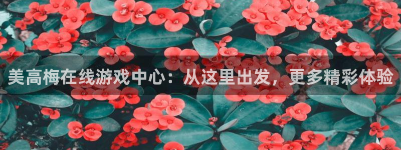 壹号国际app免费下载安装：美高梅在线游戏中心：从这里出发，更多精彩体验