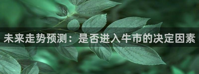 万事娱乐app：未来走势预测：是否进入牛市的决定因素