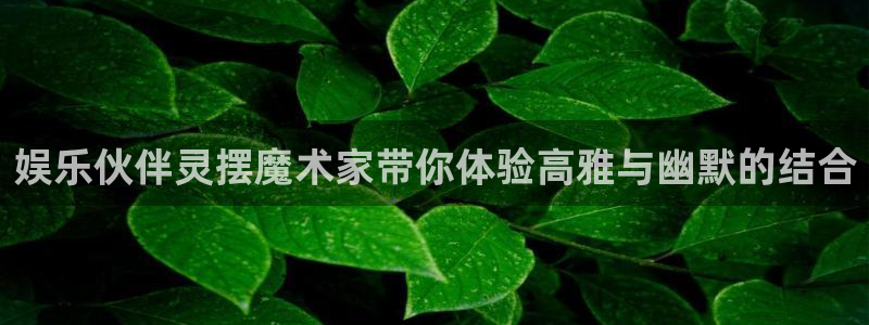万事娱乐下载：娱乐伙伴灵摆魔术家带你体验高雅与幽默的结合