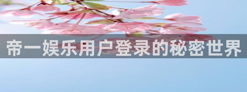 壹号大舞台网站：帝一娱乐用户登录的秘密世界