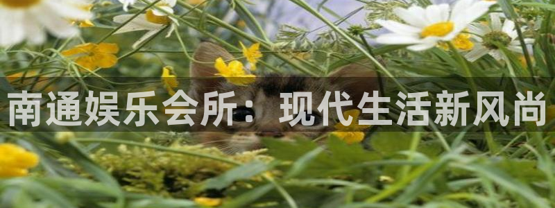 壹号app下载官网娱乐：南通娱乐会所：现代生活新风尚