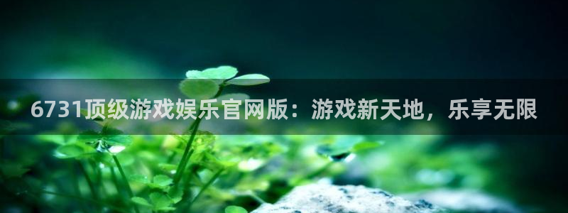 壹号国际app免费下载安装：6731顶级游戏娱乐官网版：游戏新天地，乐享无限