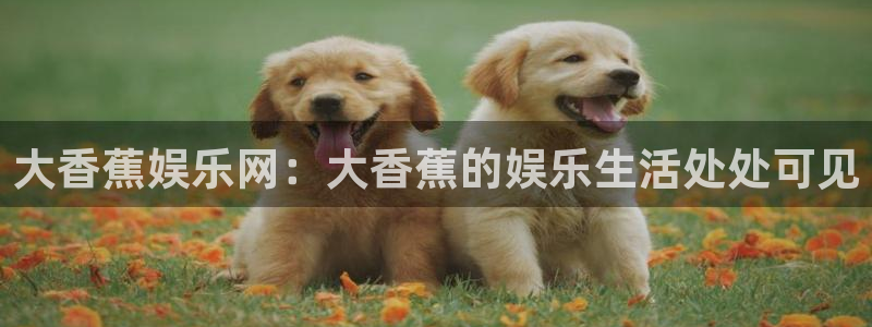 壹号大舞台娱乐传媒：大香蕉娱乐网：大香蕉的娱乐生活处处可见