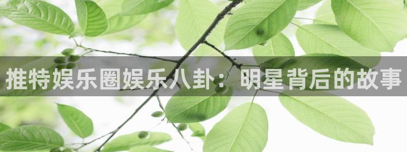万事娱乐-ng大舞台,有梦你就来：推特娱乐圈娱乐八卦：明星背后的故事