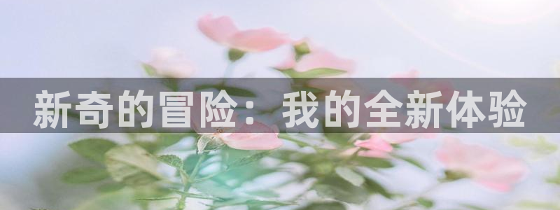 万事娱乐电子游戏官网：新奇的冒险：我的全新体验