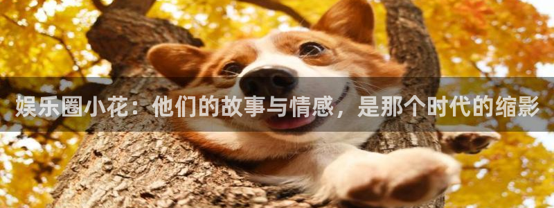 万事娱乐(com.youad.authst)：娱乐圈小花：他们的故事与情感，是那个时代的缩影
