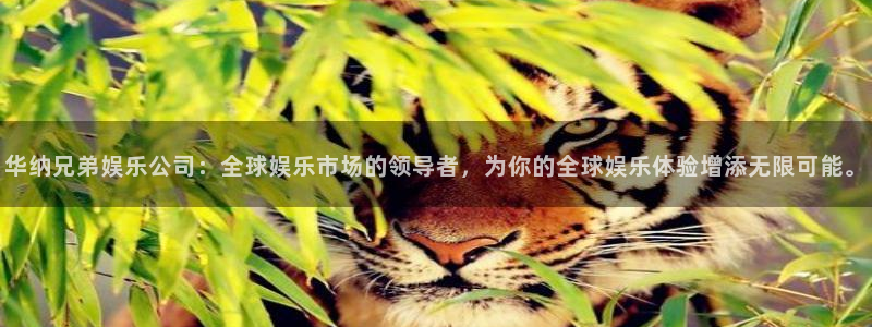 万事娱乐电子游戏官网：华纳兄弟娱乐公司：全球娱乐市场的领导者，为你的全球娱乐体验增添无限可能。