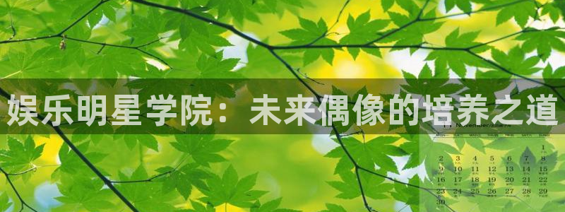 壹号app官方登录入口下载：娱乐明星学院：未来偶像的培养之道