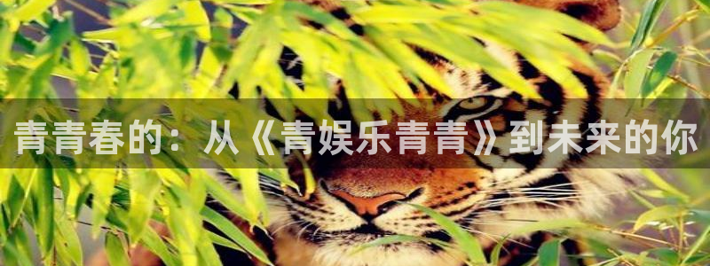 壹号电子娱乐app下载官网：青青春的：从《青娱乐青青》到未来的你