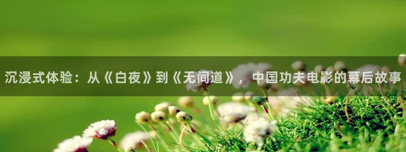 壹号大舞台怎么注册：沉浸式体验：从《白夜》到《无间道》，中国功夫电影的幕后故事