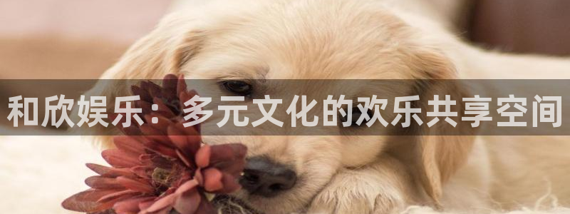 壹号下载官网入口：和欣娱乐：多元文化的欢乐共享空间