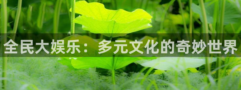 壹号app官网：全民大娱乐：多元文化的奇妙世界