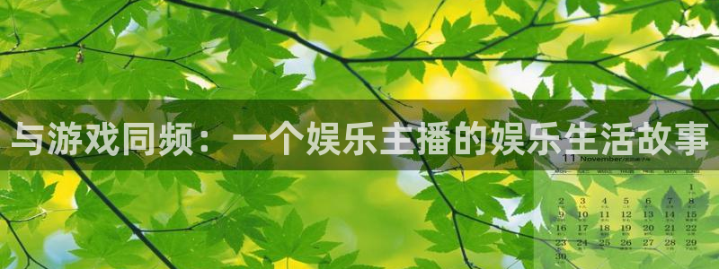 万事娱乐app官网：与游戏同频：一个娱乐主播的娱乐生活故事
