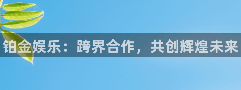 壹号大舞台有梦你就来：铂金娱乐：跨界合作，共创辉煌未来