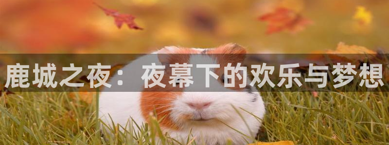 万事娱乐电子游戏官网：鹿城之夜：夜幕下的欢乐与梦想
