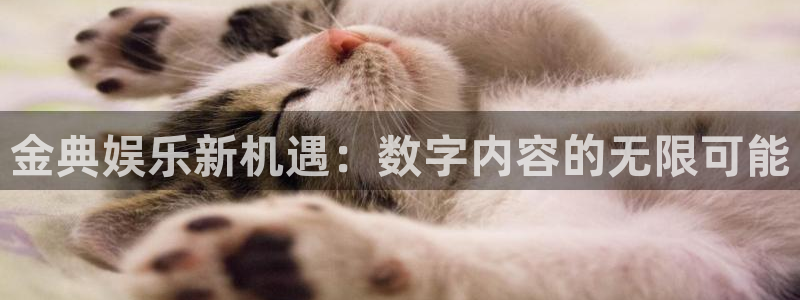 万事娱乐app最新版怎么下载苹果：金典娱乐新机遇：数字内容的无限可能