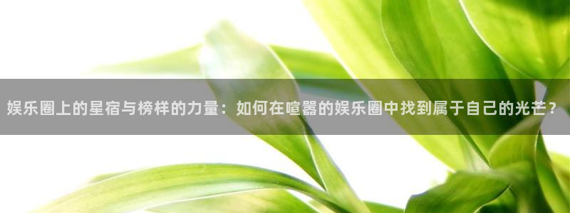 万事娱乐,apk.：娱乐圈上的星宿与榜样的力量：如何在喧嚣的娱乐圈中找到属于自己的光芒？