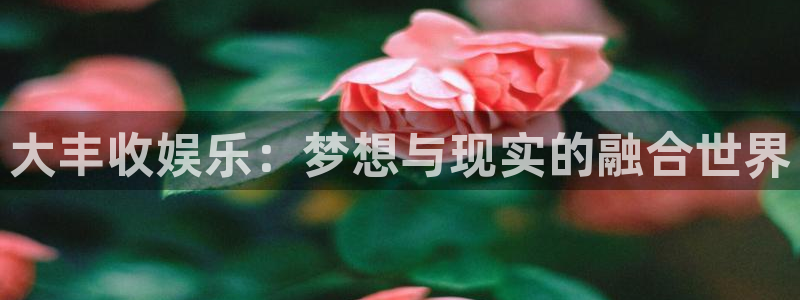 壹号平台下载安装：大丰收娱乐：梦想与现实的融合世界
