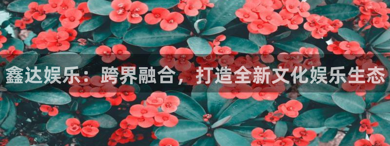 万事娱乐app下载官网：鑫达娱乐：跨界融合，打造全新文化娱乐生态