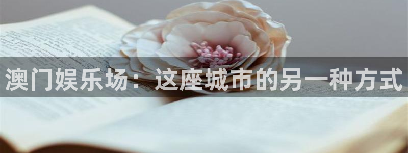 壹号大舞台入口：澳门娱乐场：这座城市的另一种方式