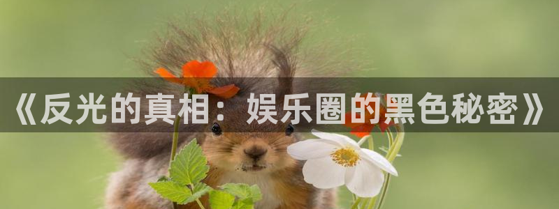 壹号平台下载：《反光的真相：娱乐圈的黑色秘密》