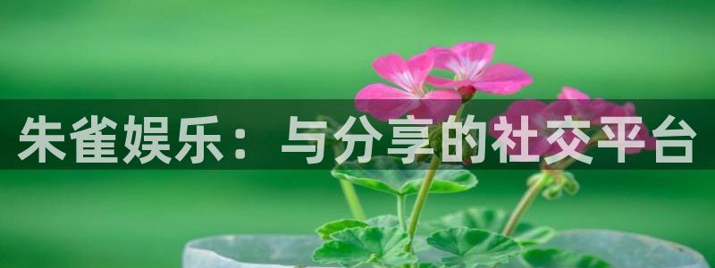 壹号平台app下载安装：朱雀娱乐：与分享的社交平台